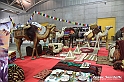 VBS_8311 - Festival dell'Oriente 2023
